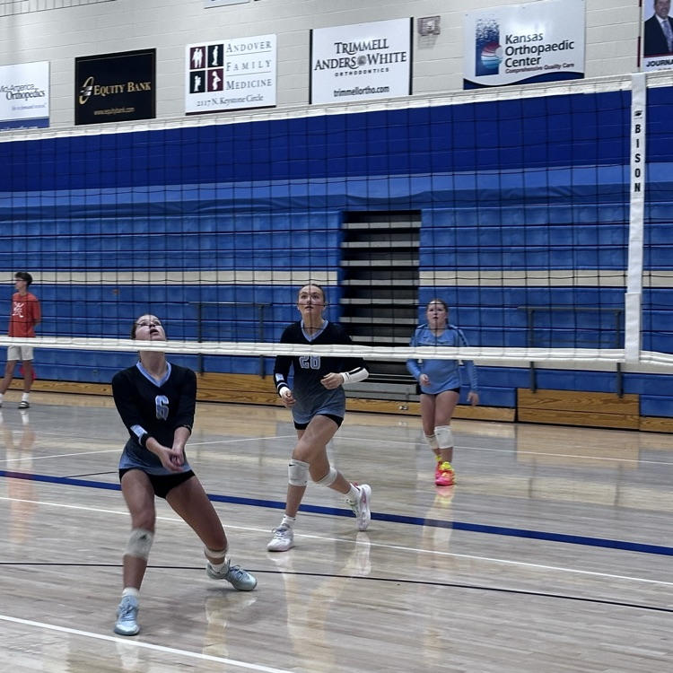 vb