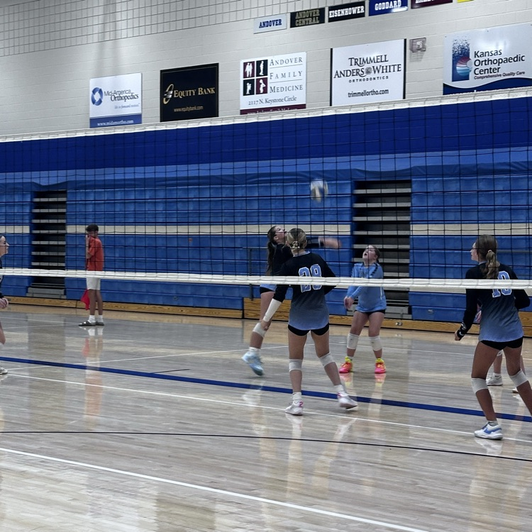 vb