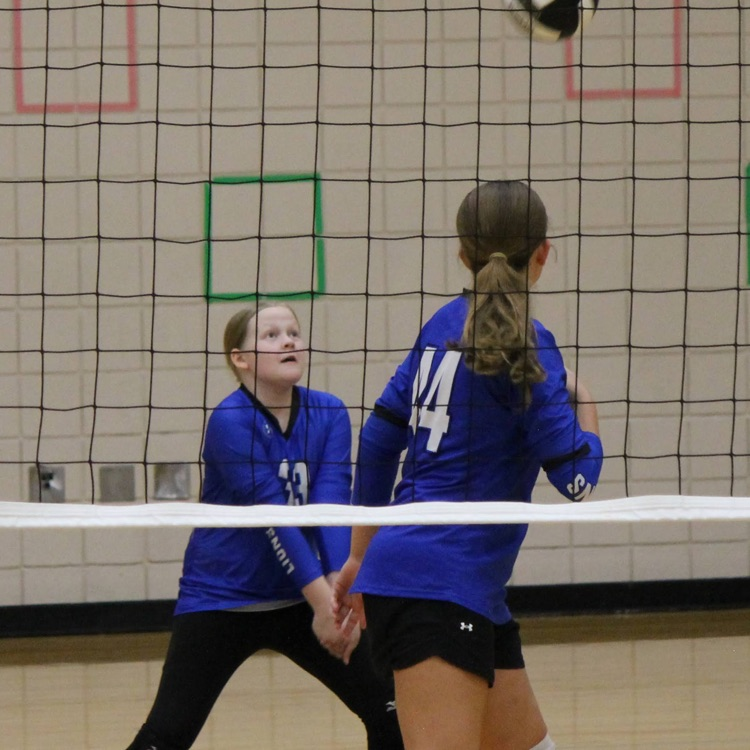 VB