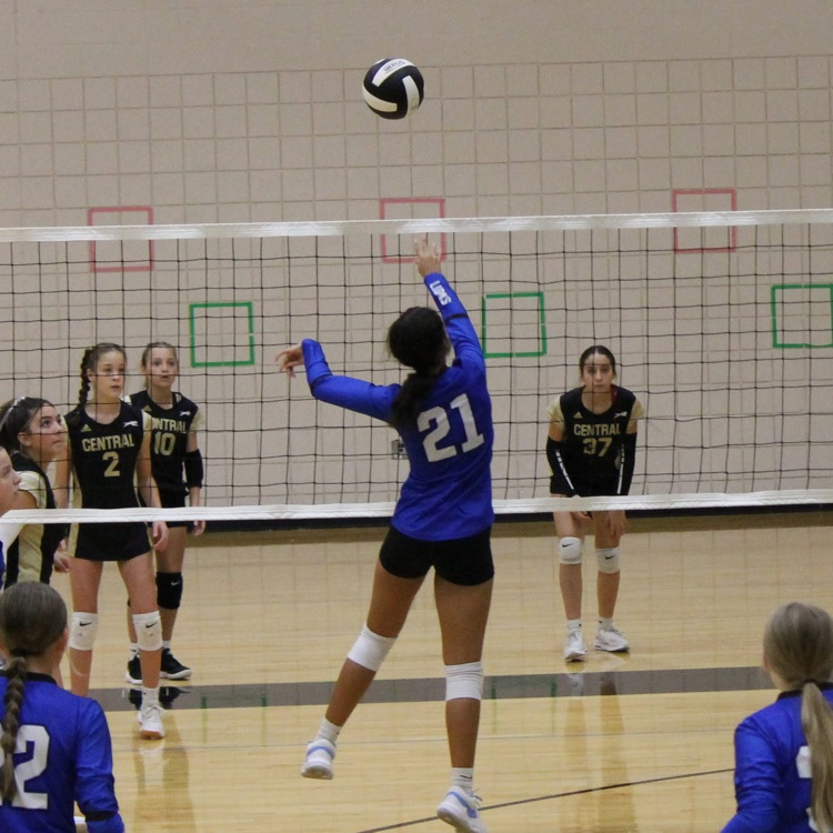 VB