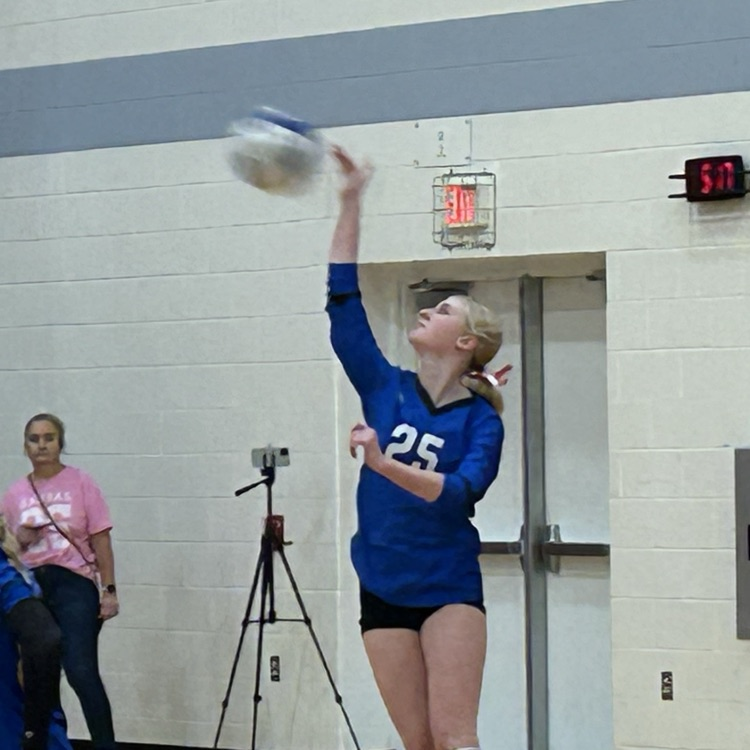 VB