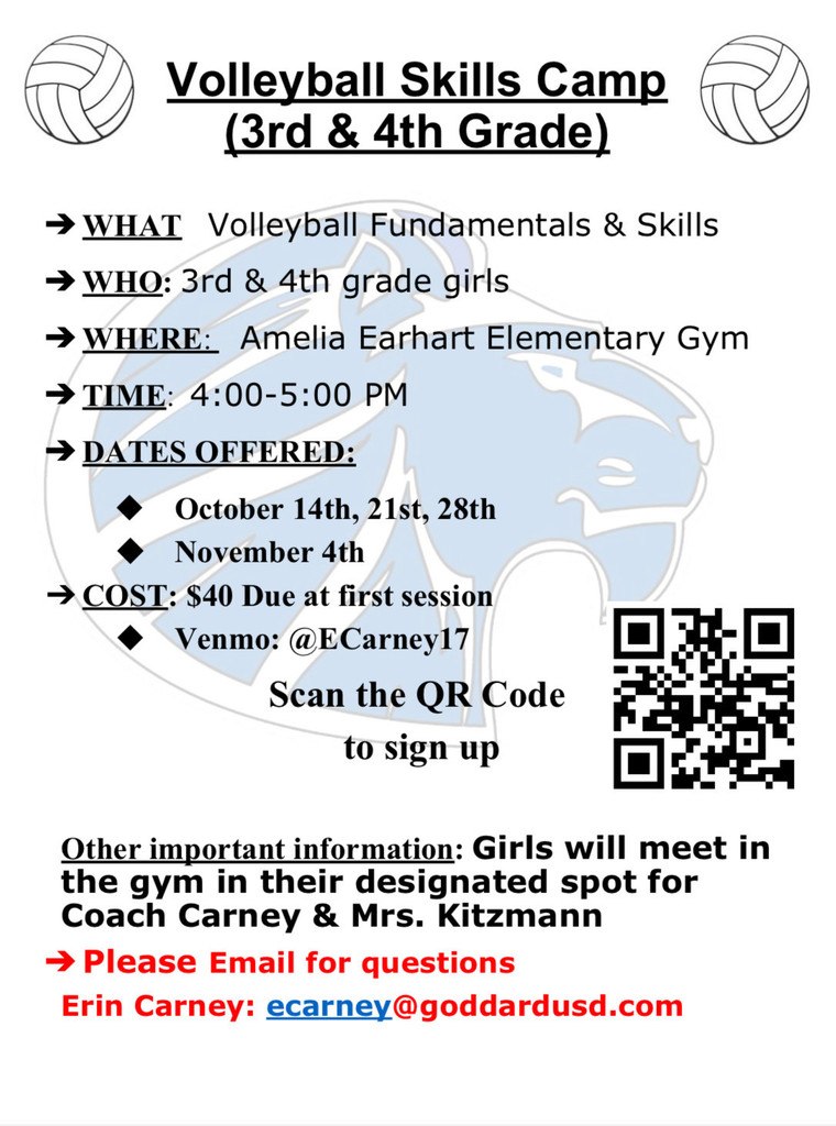Volleyball Skills Camp