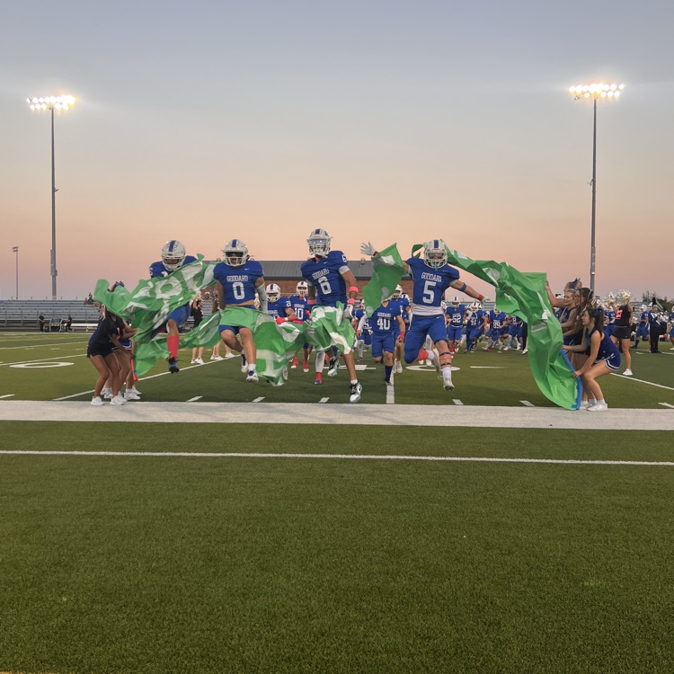 lions 
