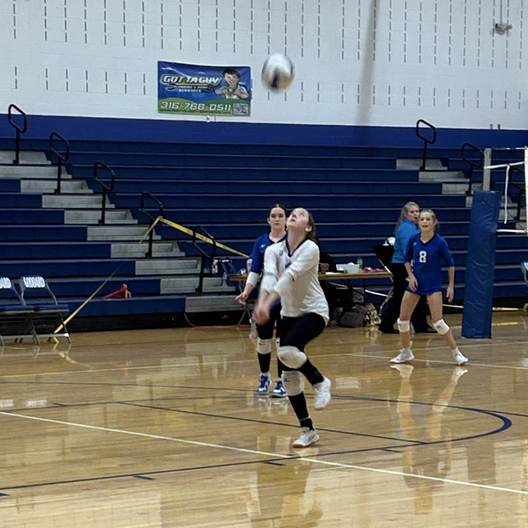 VB