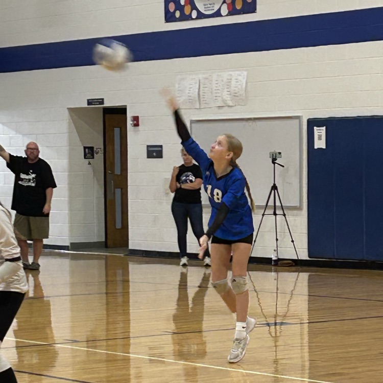 VB