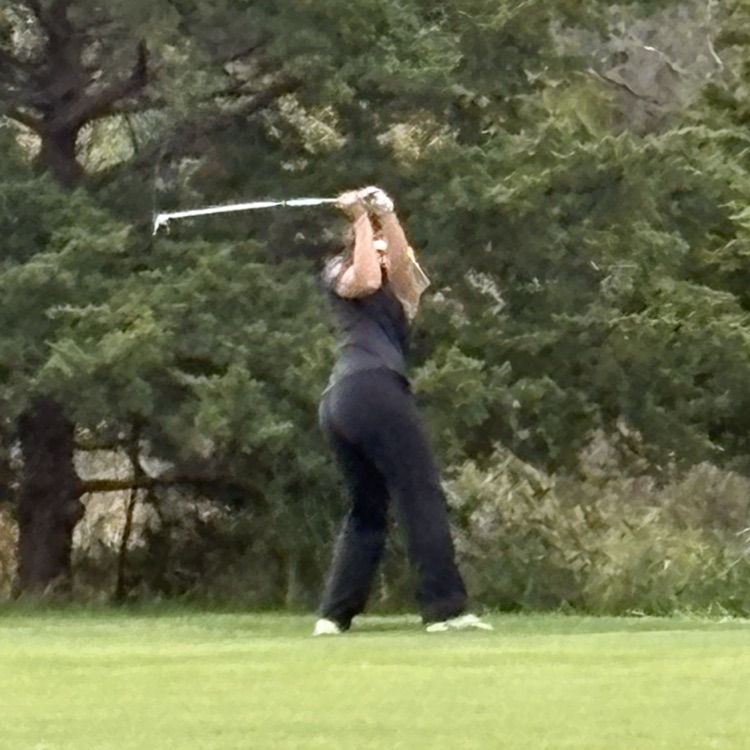 Tiger Golf at Tex for a spot to go to State next week. 