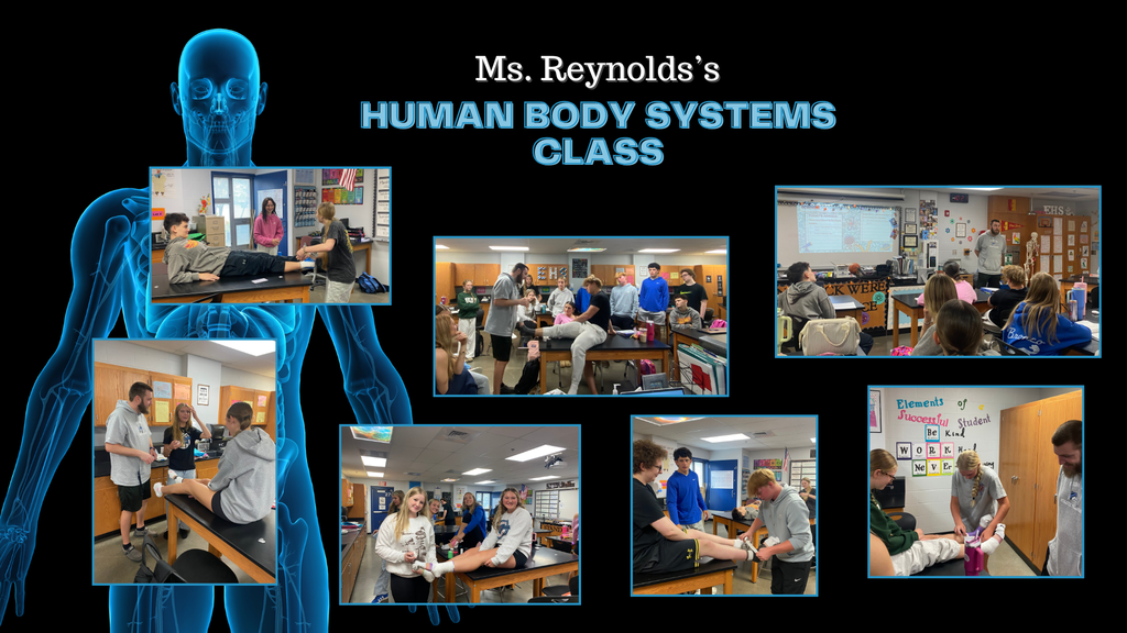 HUMAN BODY SYSTEMS CLASS