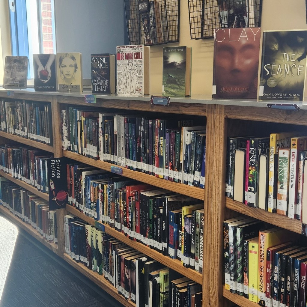 halloween themed Books on shelf