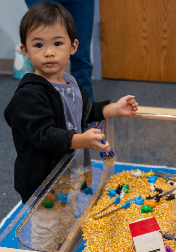 Parents as Teachers play group participant