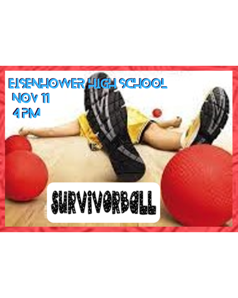 survivorball