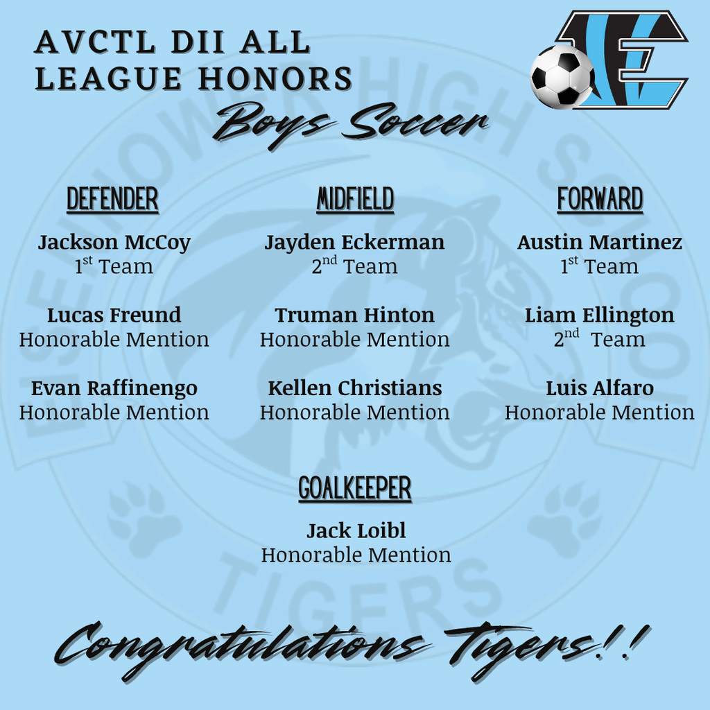 boys soccer league honors