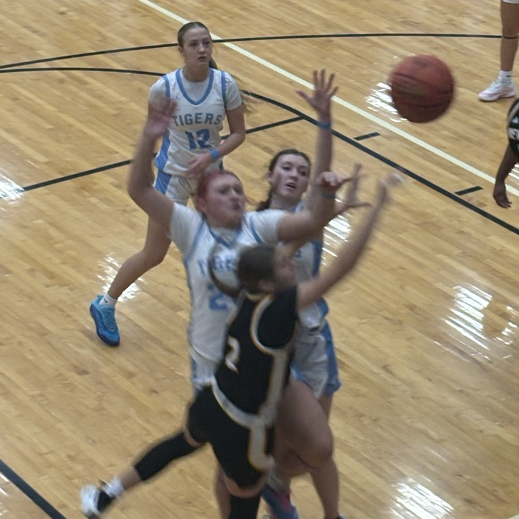 Lady Tiger Final from the Zoo 65-23 Tigers Win