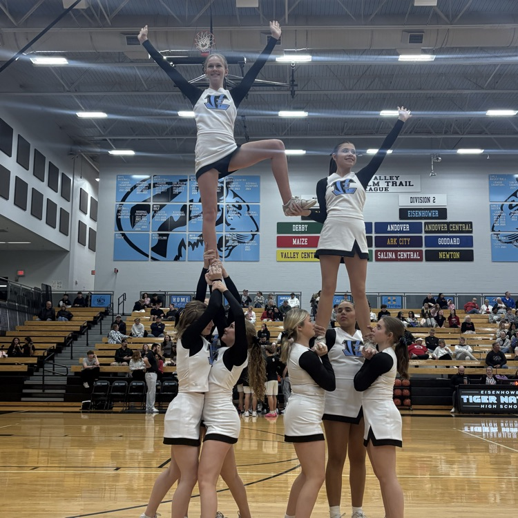 Tigers fall to the Eagles 29-66 in boys' basketball 