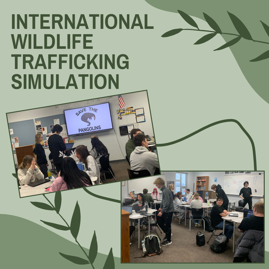 Mr. Dikeman's class conducted an International Wildlife Trafficking simulation