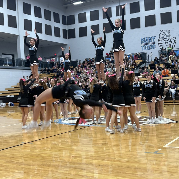 Homecoming Pep Assembly 