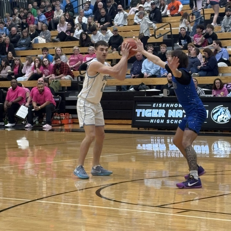 Halftime from the Zoo Tigers 22 - Lions 18