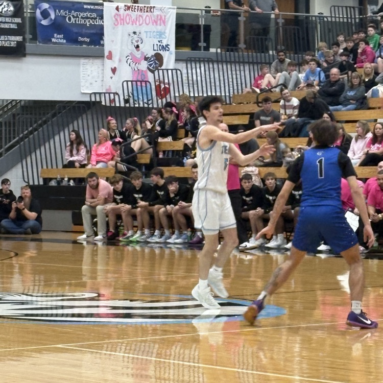 Halftime from the Zoo Tigers 22 - Lions 18