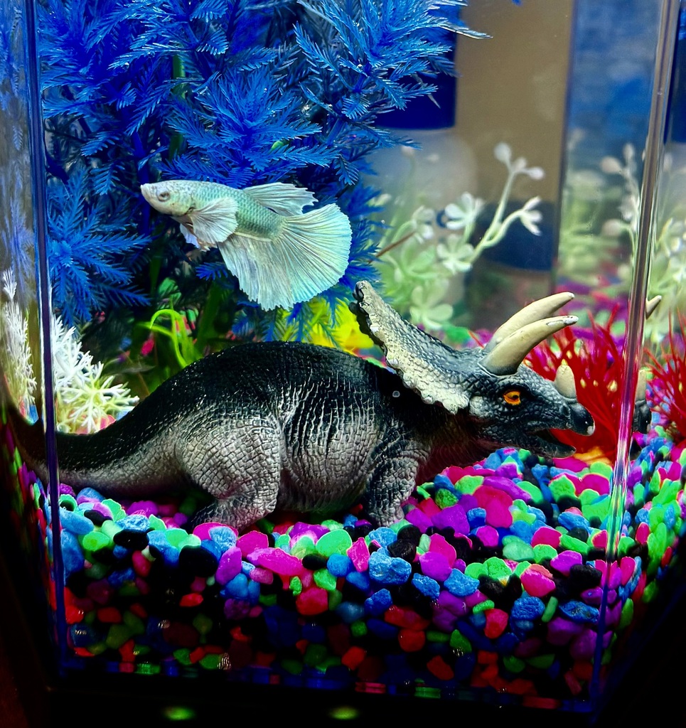 RAW RAW Hero-saurus has entered the tank!