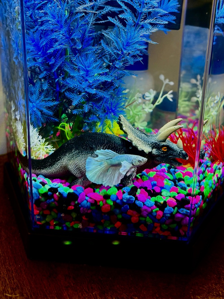 RAW RAW Hero-saurus has entered the tank!