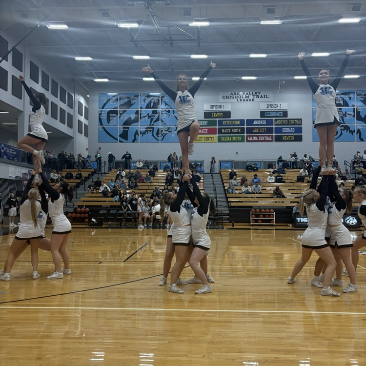 Lady Tigers win in OT 65-64 over Andover Central.