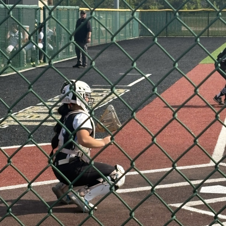 Tiger Softball win 6-1 game 1 vs Andover Central 