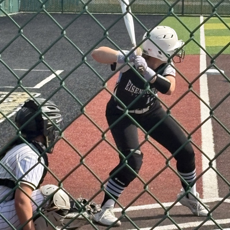 Tiger Softball win 6-1 game 1 vs Andover Central 