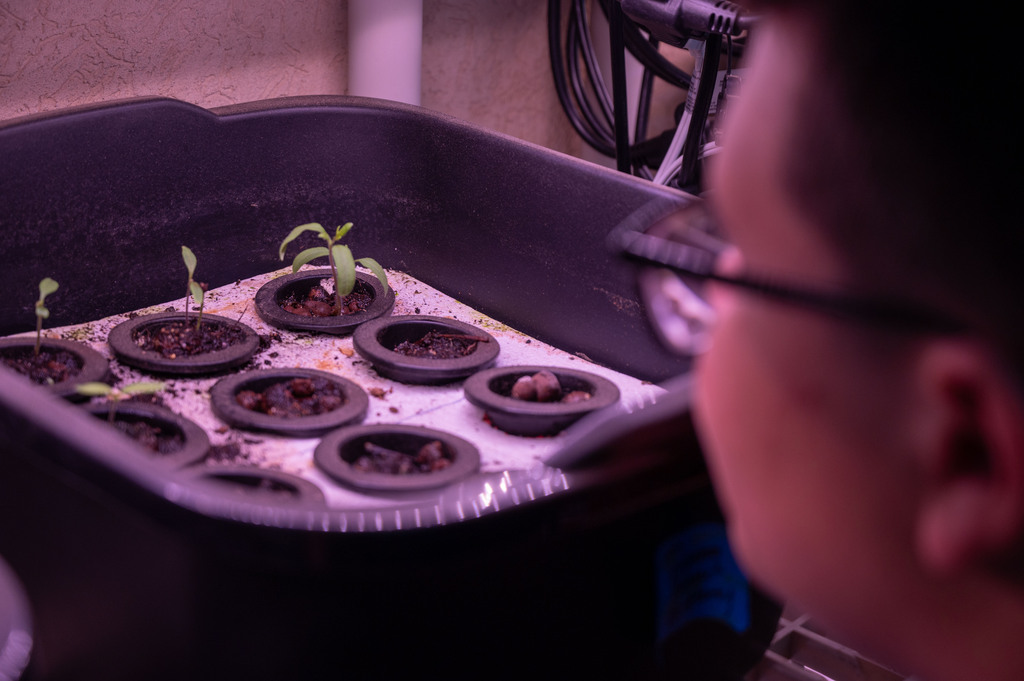 Teacher Grant Visit- Lowry