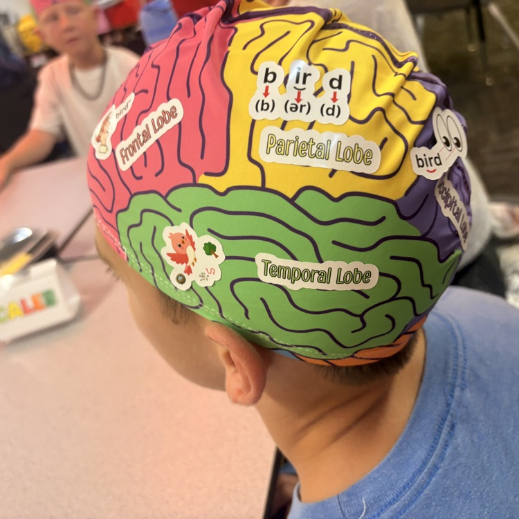 brain parts