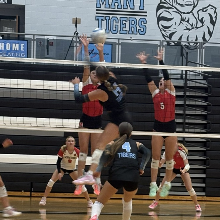 Tiger Volleyball Jamboree
