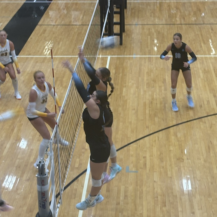 AVCTL Volleyball Tournament 