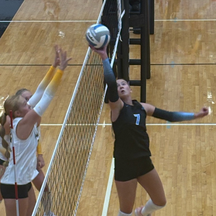 AVCTL Volleyball Tournament 