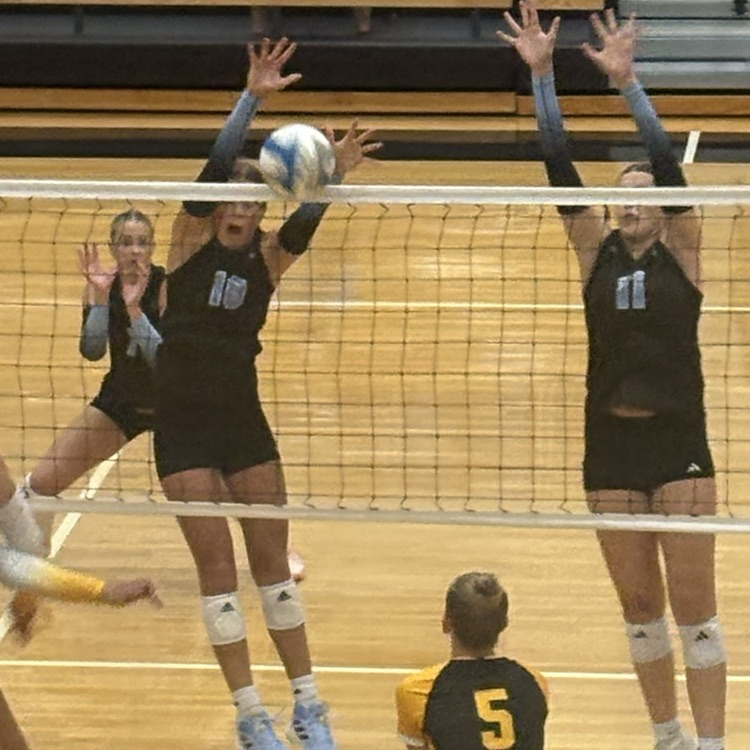 AVCTL Volleyball Tournament 