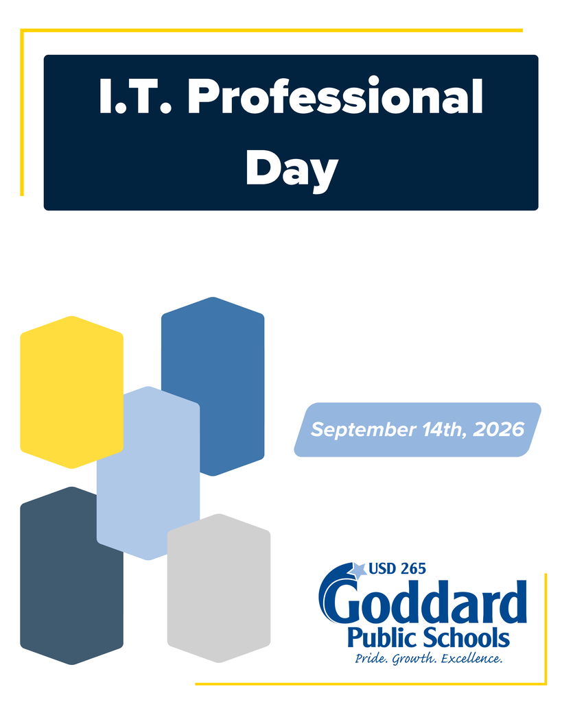 I.T. Professionals Day