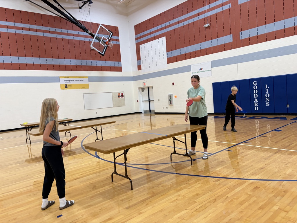 ping pong