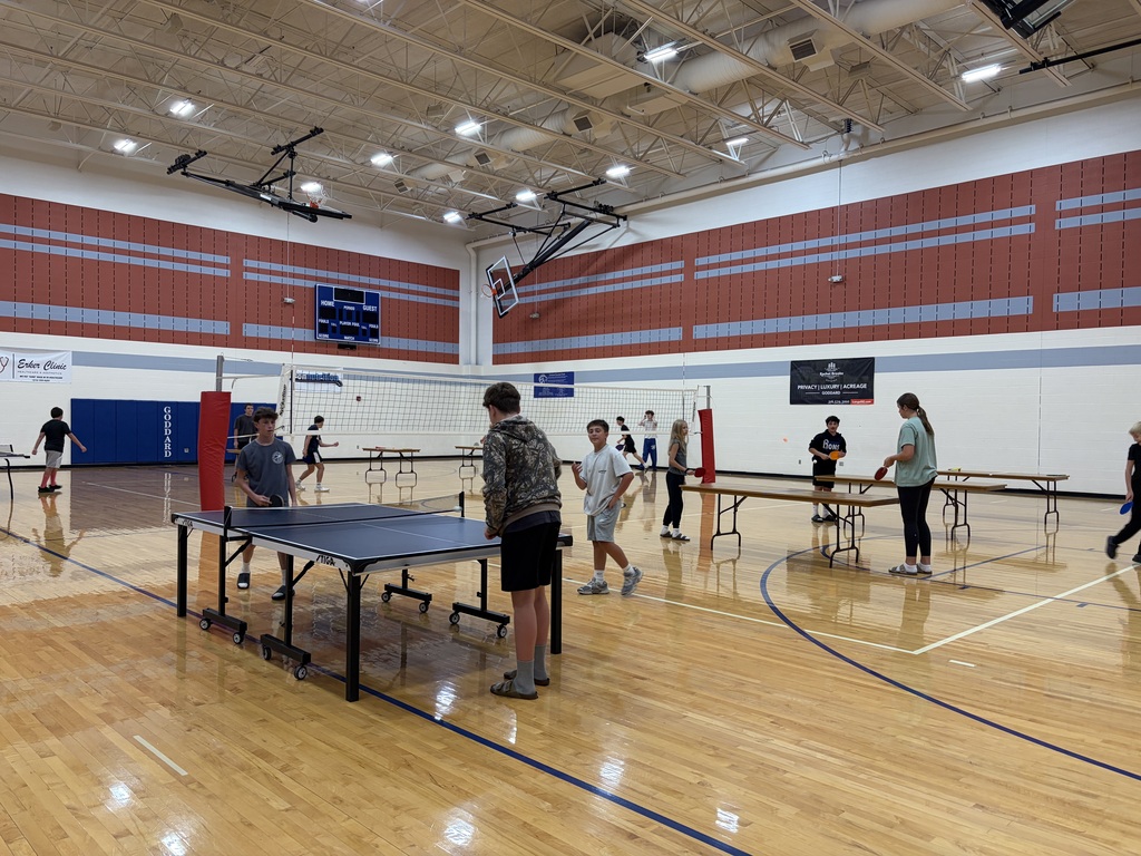 ping pong