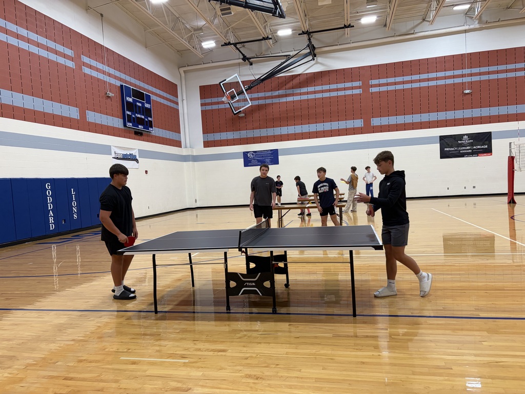 ping pong
