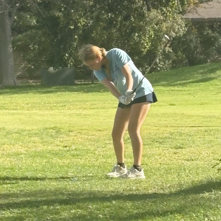 Lady Tiger Golf Regional Runner-Up 