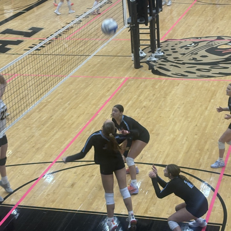 AVCTL D2 JV Volleyball 