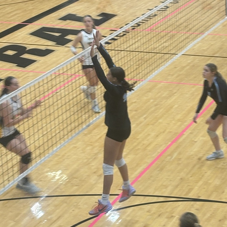 AVCTL D2 JV Volleyball 