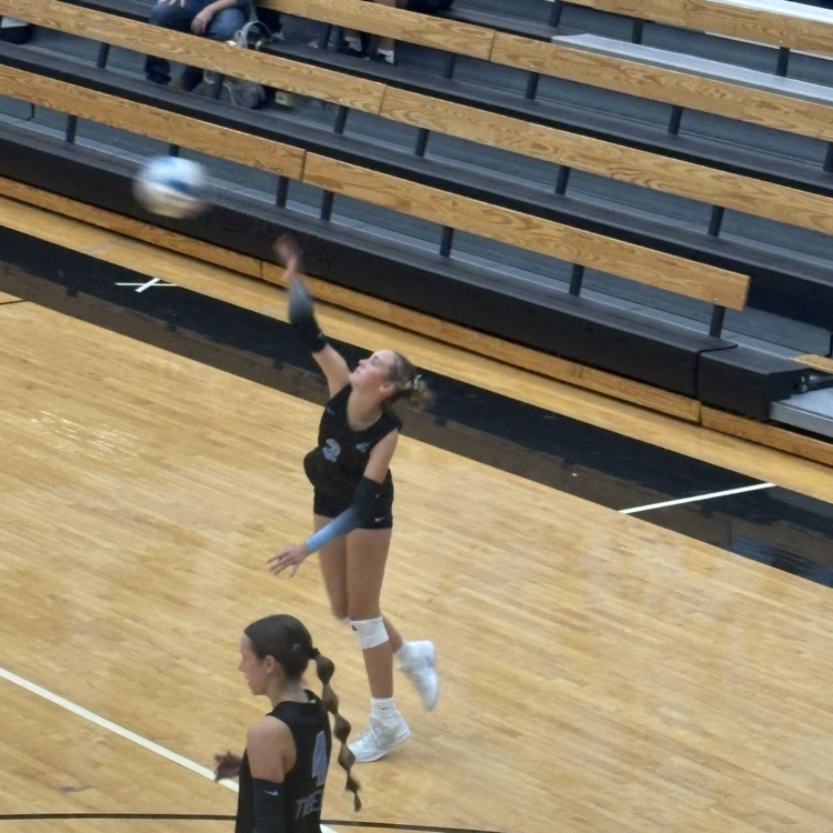 Tiger Volleyball Senior Night 