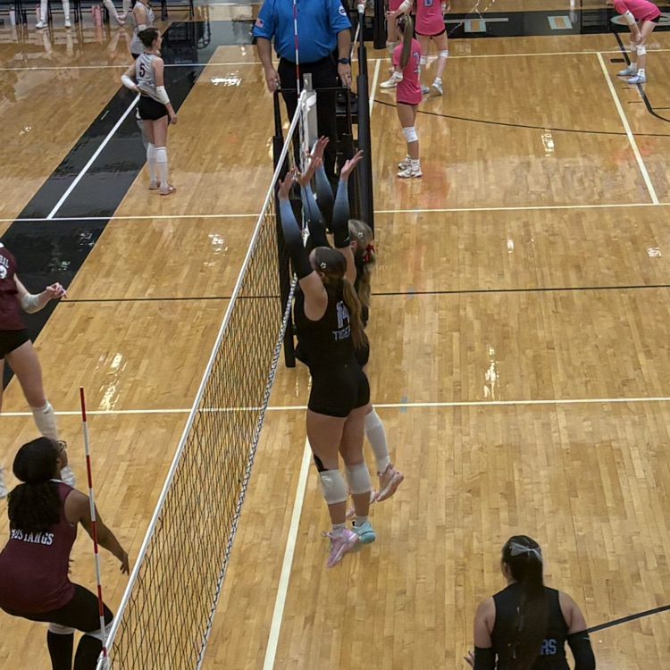 Tiger Volleyball Senior Night 