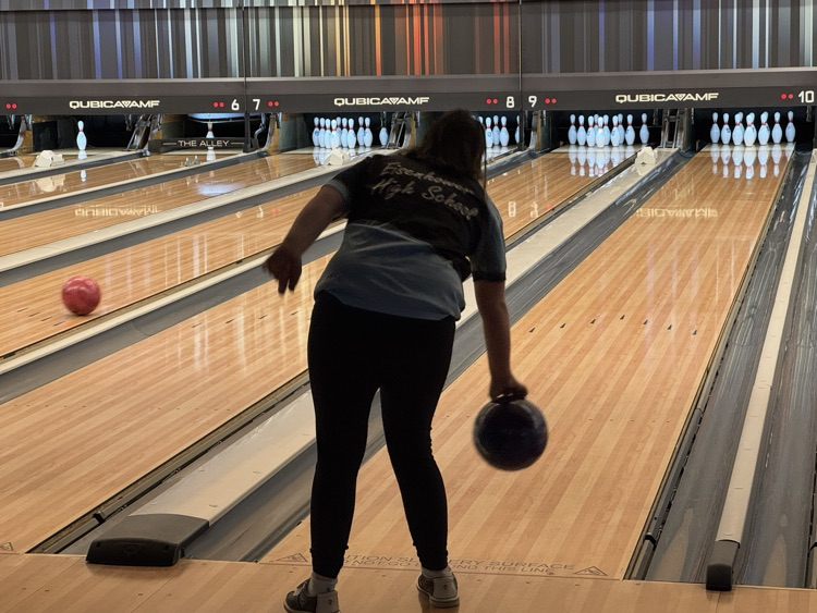 bowl