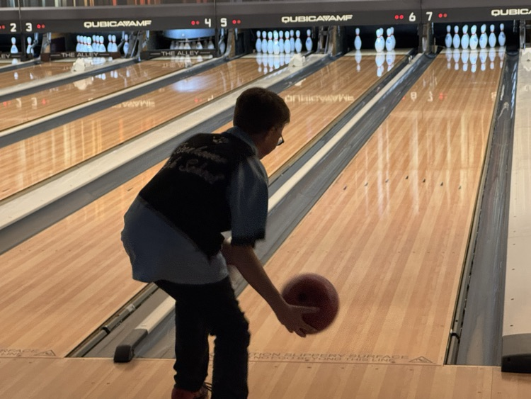 bowl