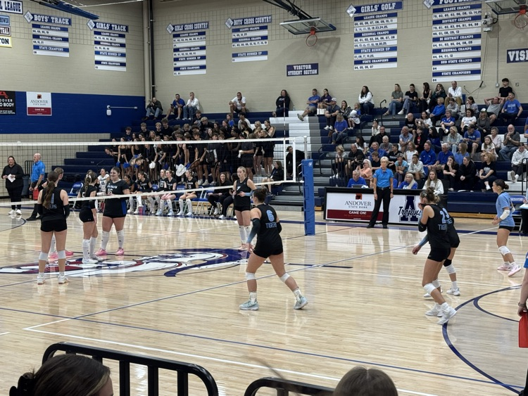 vb