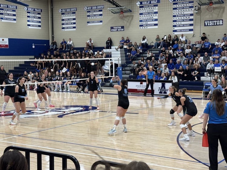 vb