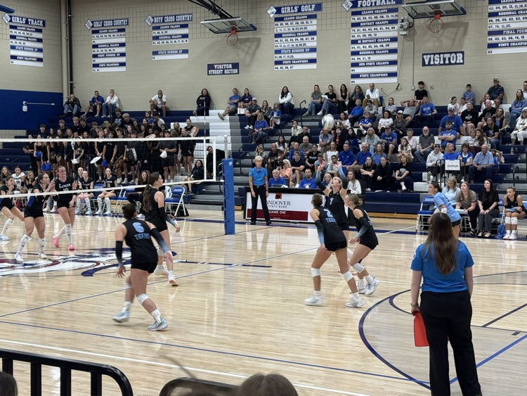 vb