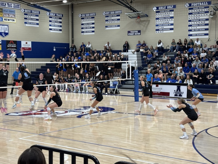 vb