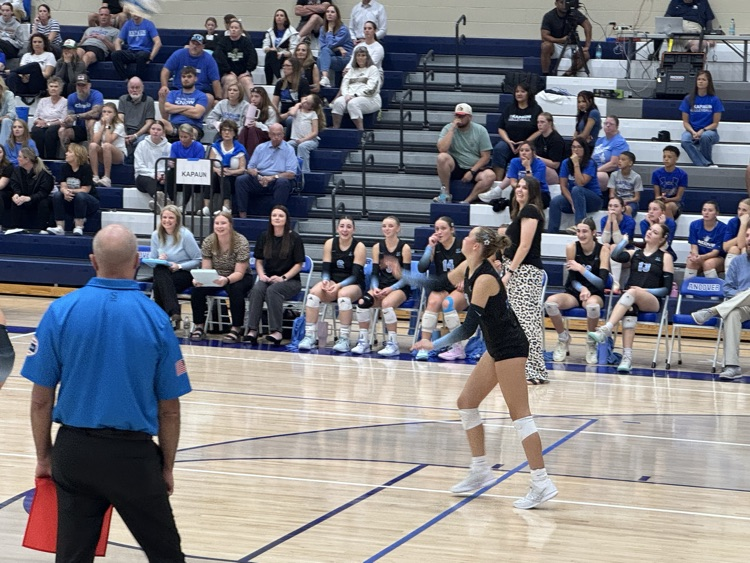 vb 