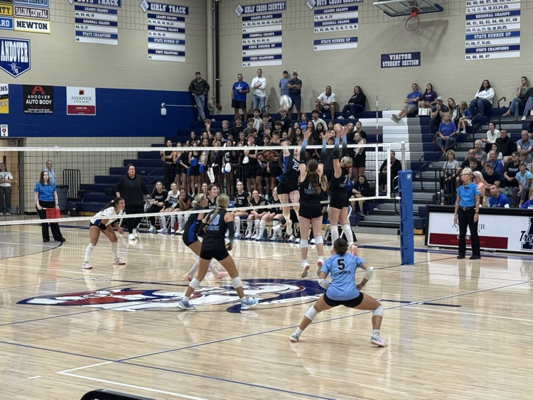 vb