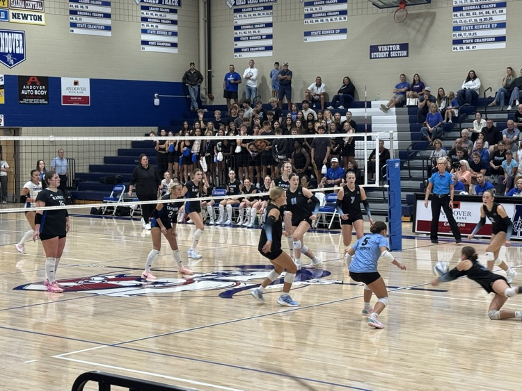 vb